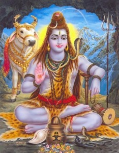 shiva3
